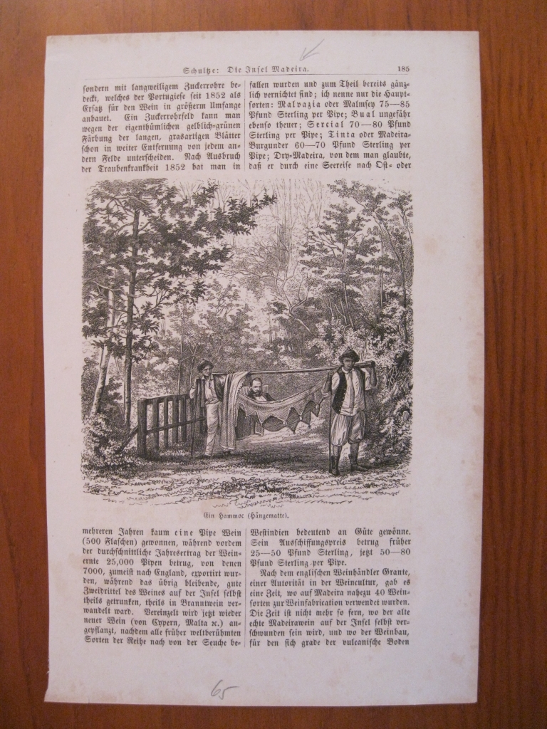 Porteadores en el bosque, 1865. Anónimo